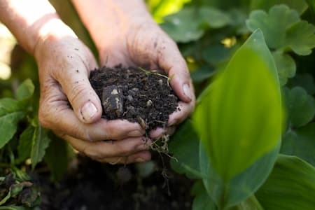 Fertilization To Enhance Your Lawn
